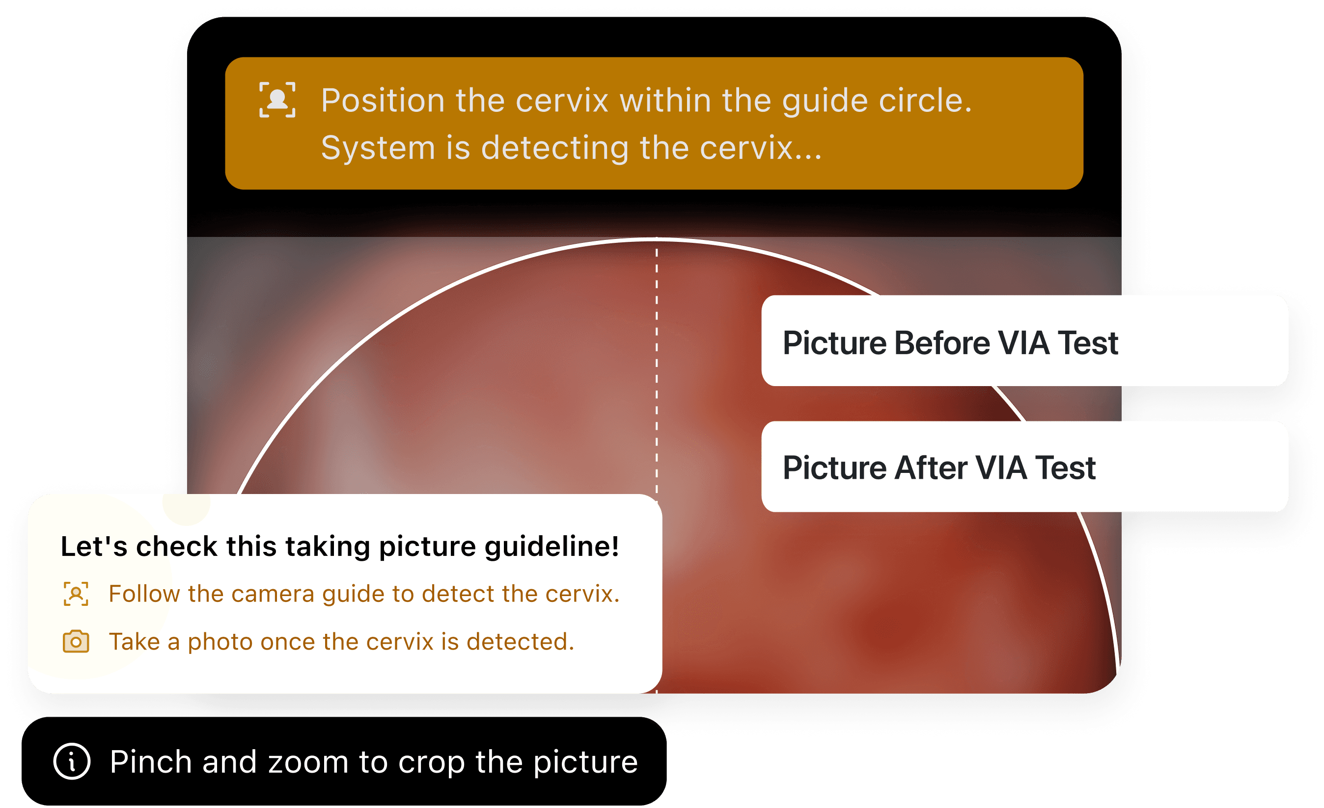 Use the in-app camera with AI guidance to capture clear images.