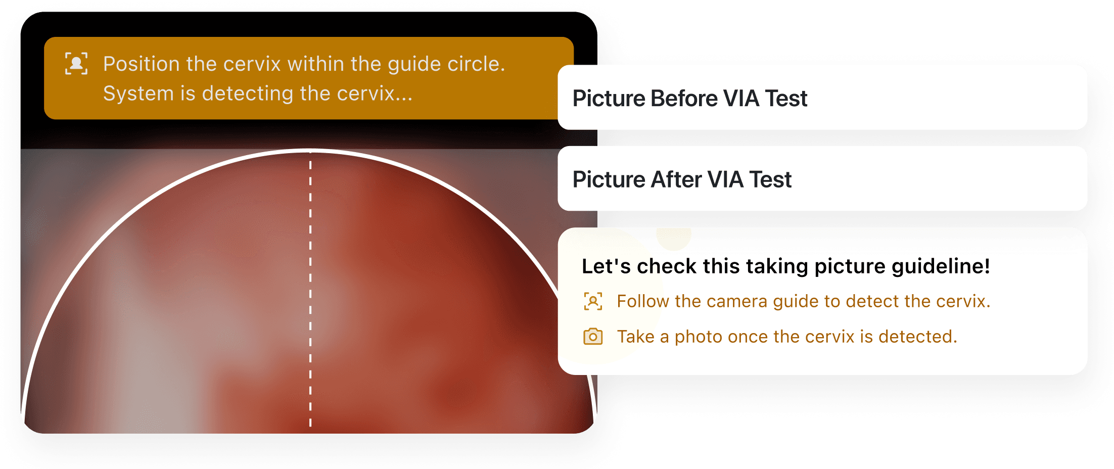 High Quality Cervical Images Feature Image